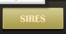 Sires